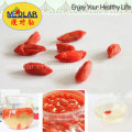 Medlar Medicina tradicional china Goji